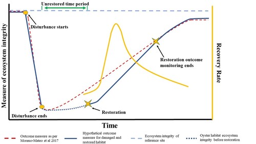 . Theoretical diagram of general recovery debt for ecosystems not requiring structural restoration (red dashed line) and recovery debt specific to restored oyster habitats (dark blue lines) where structural restoration is necessary. The yellow line indicates the expected rate of recovery, which slows but stays positive over time. Figure modified from the published paper. 